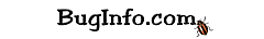 BugInfo.com