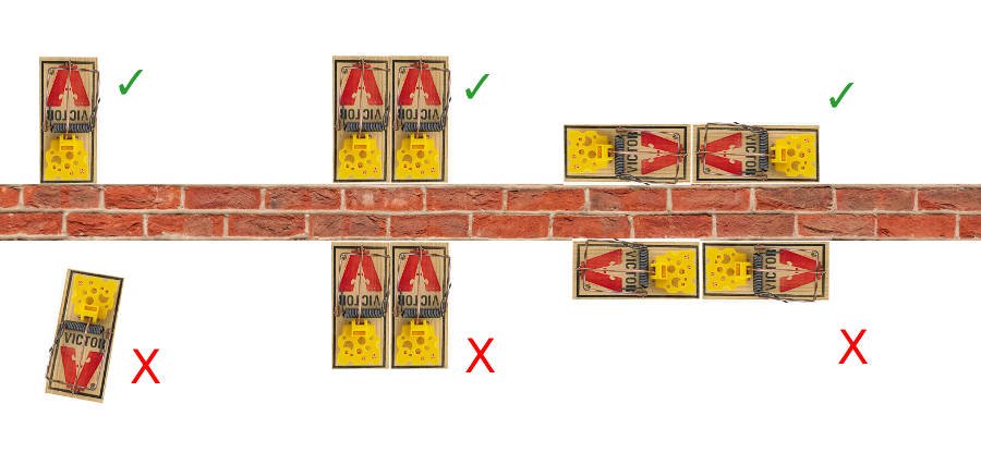 proper mouse trap placement